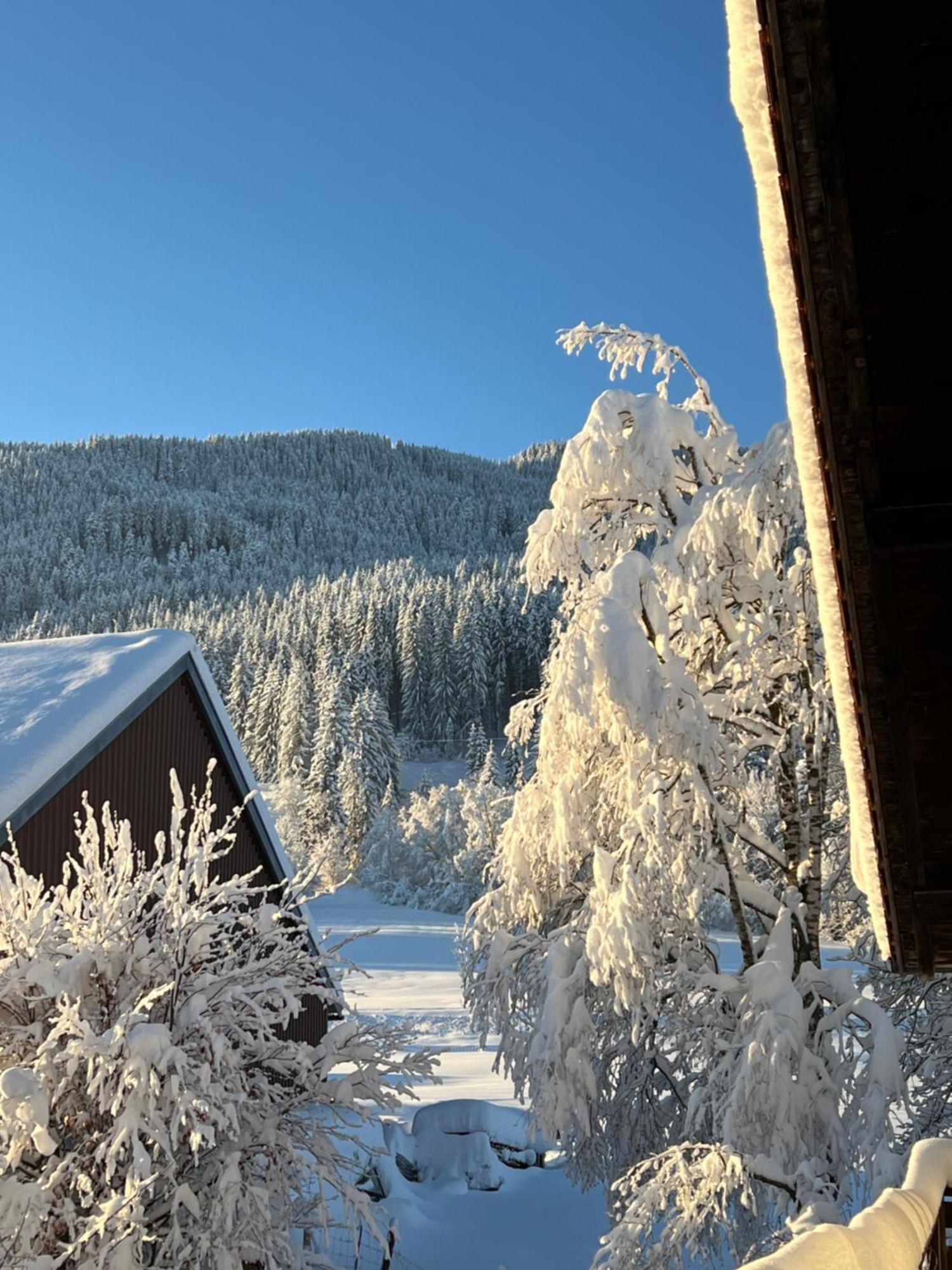 Beim Patzelt - Ferienhaus In Nesselwang Luaran gambar